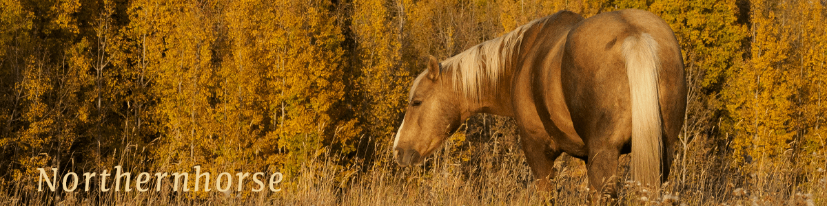 Northernhorse.com Splash image