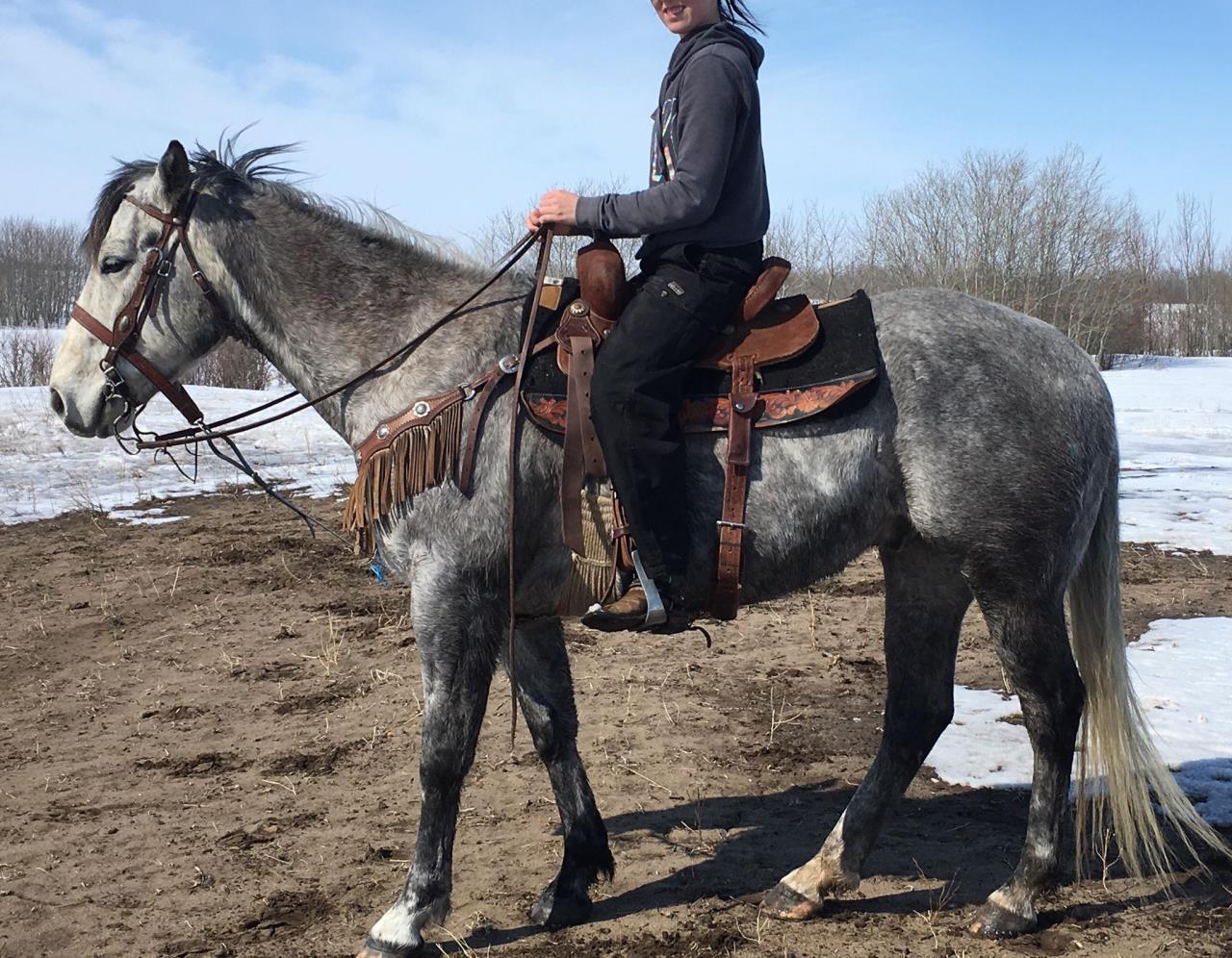 JB Runaway Time A Touch of Class Performance Horse Sale
