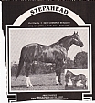 Stepahead