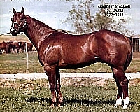 Watch Joe Jack Keith Farms watch joe jack keith farms