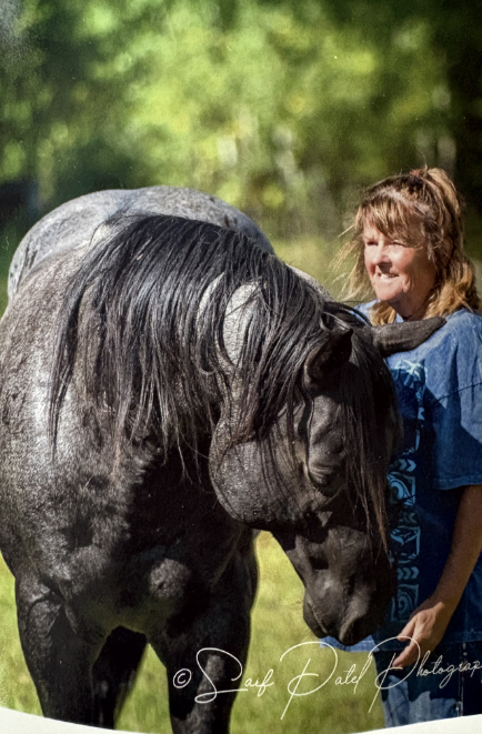 decorative header image