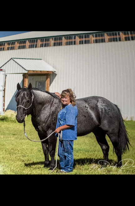 decorative header image