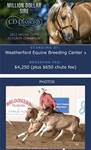 SJR Diamond Dixie 